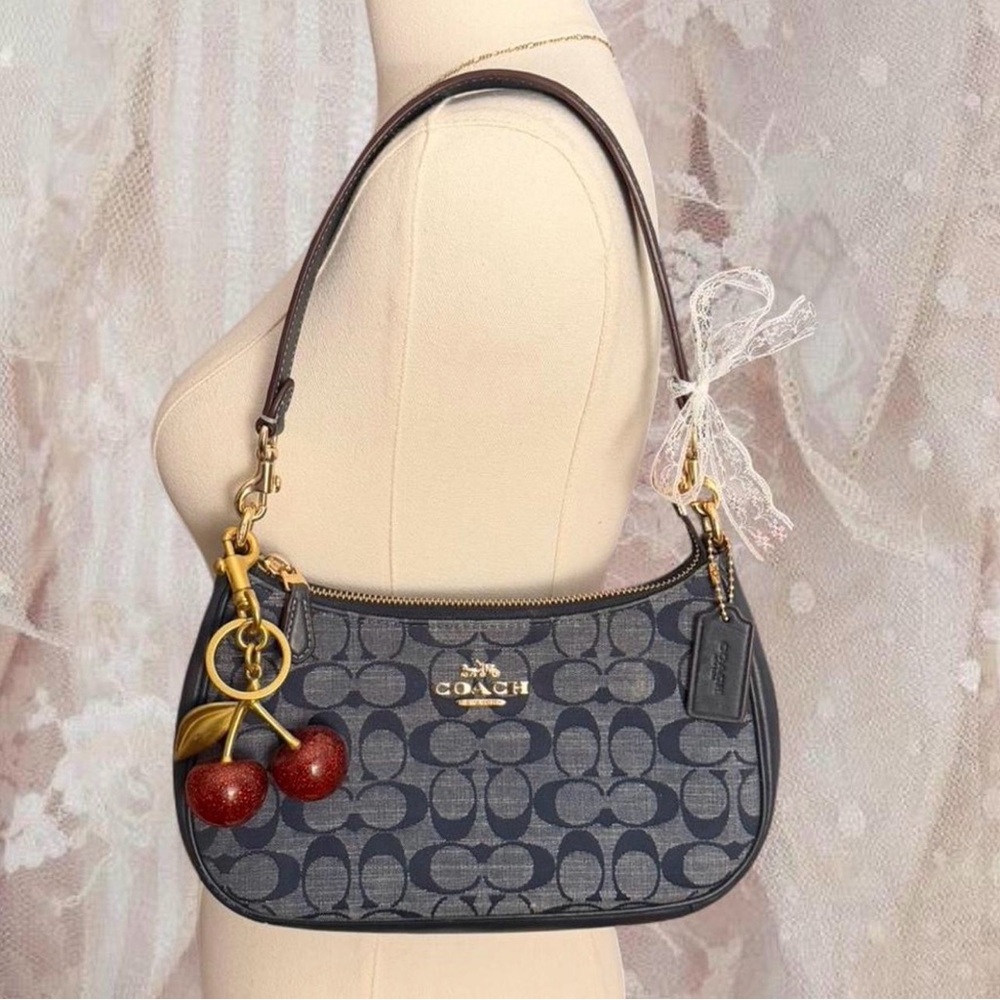 Coach Teri Shoulder Bag in Signature Chambray